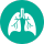 Pulmonology-image